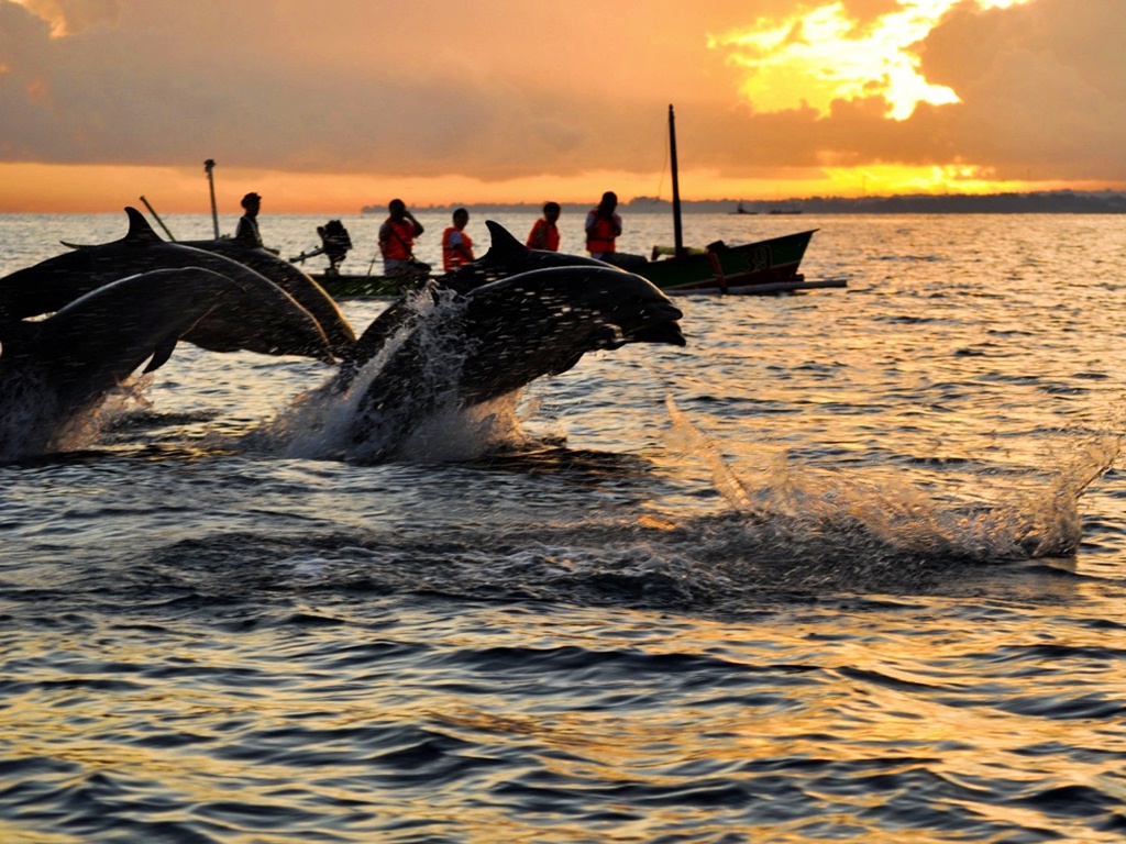 ???????????????????????